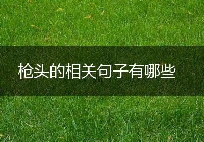 枪头的相关句子有哪些