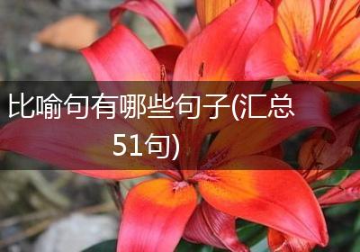 比喻句有哪些句子(汇总51句)