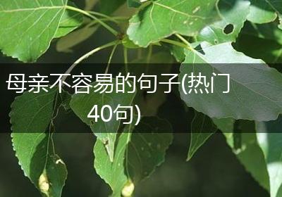 母亲不容易的句子(热门40句)