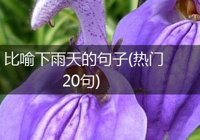 比喻下雨天的句子(热门20句)