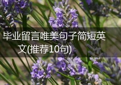 毕业留言唯美句子简短英文(推荐10句)