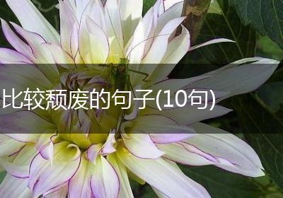 比较颓废的句子(10句)