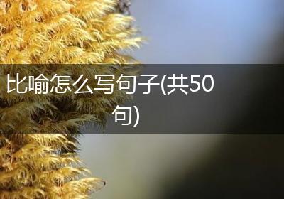 比喻怎么写句子(共50句)