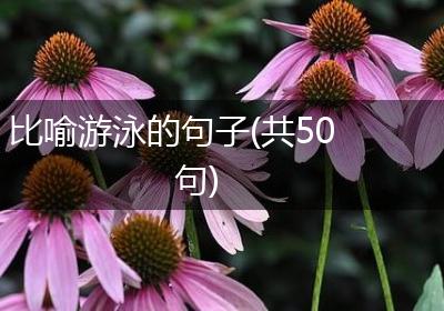 比喻游泳的句子(共50句)