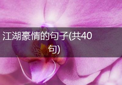 江湖豪情的句子(共40句)
