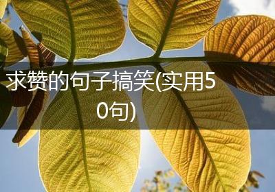 求赞的句子搞笑(实用50句)