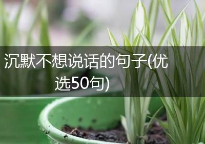 沉默不想说话的句子(优选50句)