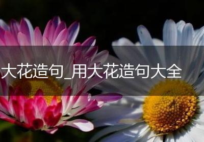 大花造句_用大花造句大全
