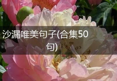 沙漏唯美句子(合集50句)