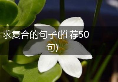 求复合的句子(推荐50句)