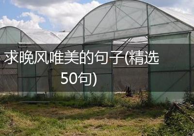 求晚风唯美的句子(精选50句)