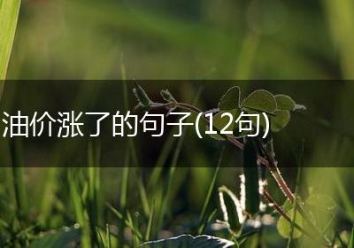 油价涨了的句子(12句)