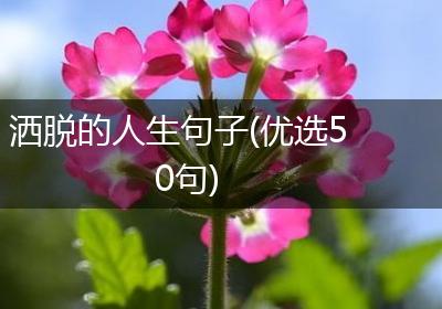 洒脱的人生句子(优选50句)