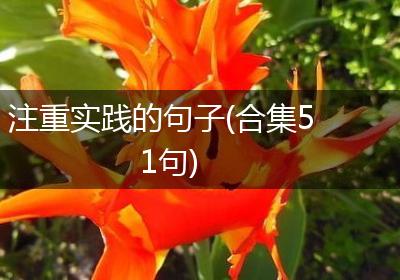 注重实践的句子(合集51句)