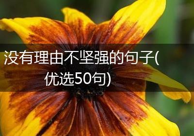 没有理由不坚强的句子(优选50句)
