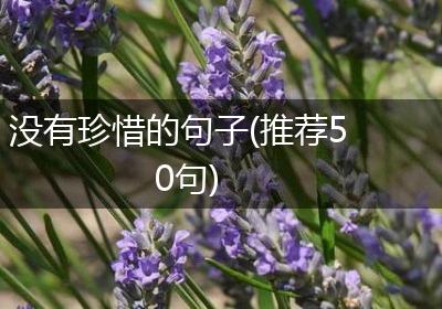 没有珍惜的句子(推荐50句)