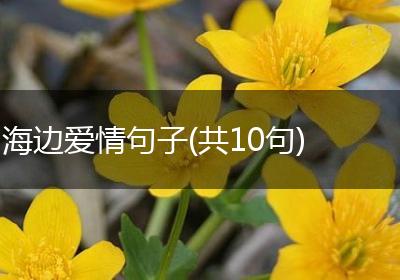 海边爱情句子(共10句)