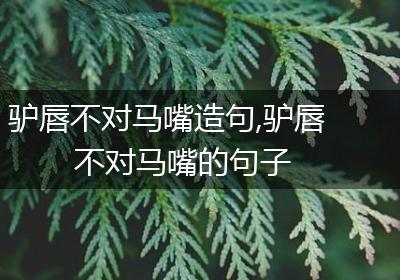 驴唇不对马嘴造句,驴唇不对马嘴的句子