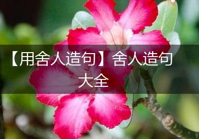 【用舍人造句】舍人造句大全