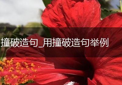 撞破造句_用撞破造句举例