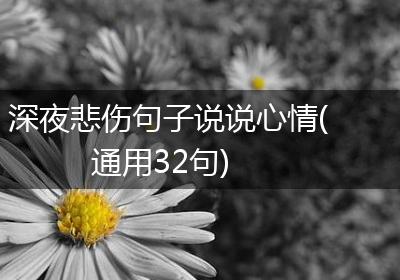 深夜悲伤句子说说心情(通用32句)