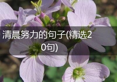 清晨努力的句子(精选20句)