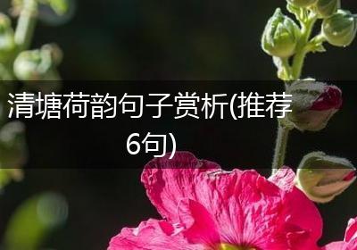 清塘荷韵句子赏析(推荐6句)