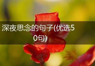 深夜思念的句子(优选50句)