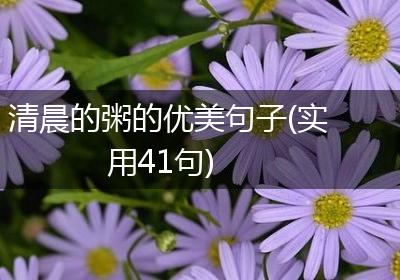 清晨的粥的优美句子(实用41句)