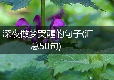 深夜做梦哭醒的句子(汇总50句)