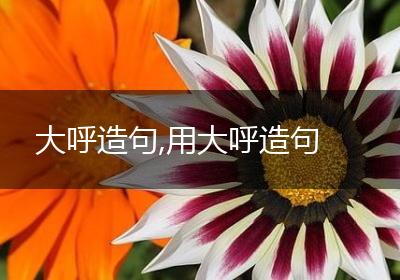 大呼造句,用大呼造句