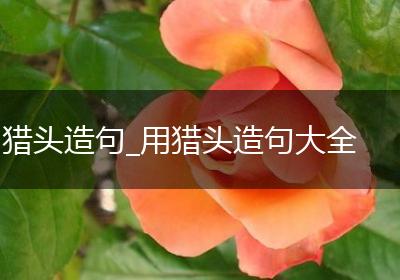 猎头造句_用猎头造句大全