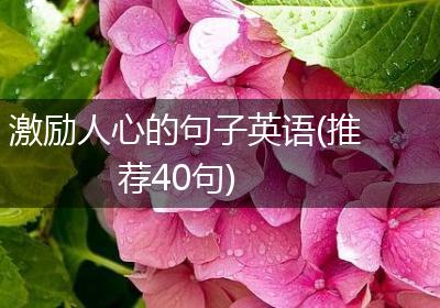 激励人心的句子英语(推荐40句)