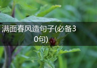 满面春风造句子(必备30句)