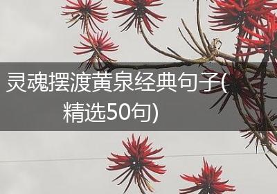 灵魂摆渡黄泉经典句子(精选50句)