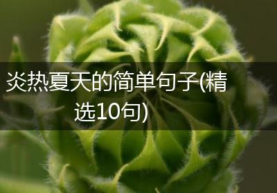 炎热夏天的简单句子(精选10句)