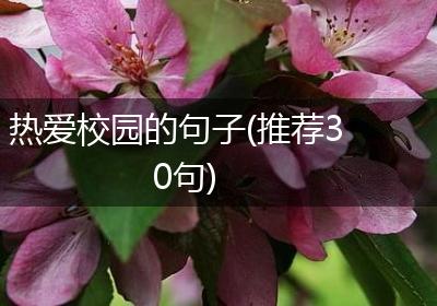 热爱校园的句子(推荐30句)