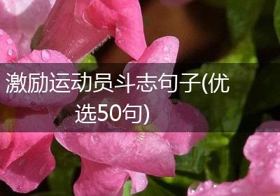 激励运动员斗志句子(优选50句)