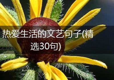 热爱生活的文艺句子(精选30句)