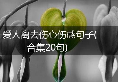 爱人离去伤心伤感句子(合集20句)