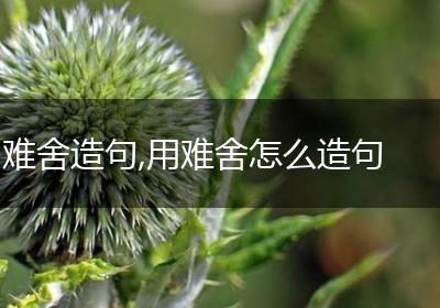 难舍造句,用难舍怎么造句