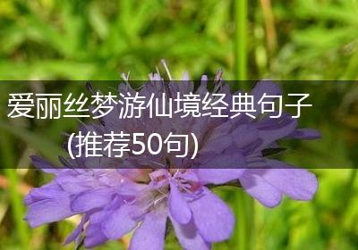 爱丽丝梦游仙境经典句子(推荐50句)