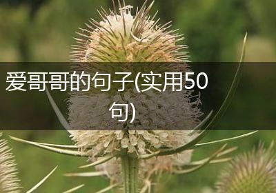 爱哥哥的句子(实用50句)