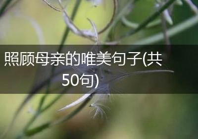 照顾母亲的唯美句子(共50句)