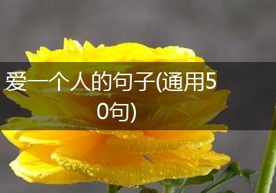 爱一个人的句子(通用50句)