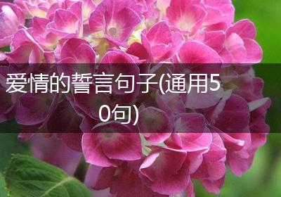 爱情的誓言句子(通用50句)