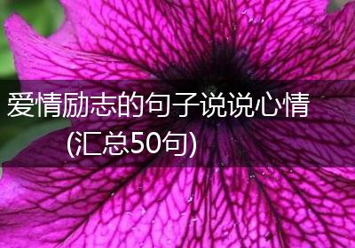 爱情励志的句子说说心情(汇总50句)