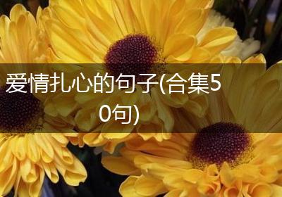 爱情扎心的句子(合集50句)
