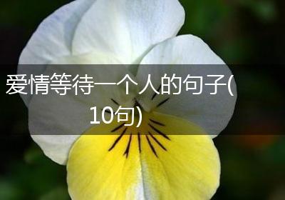 爱情等待一个人的句子(10句)