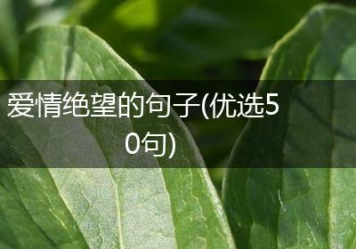 爱情绝望的句子(优选50句)